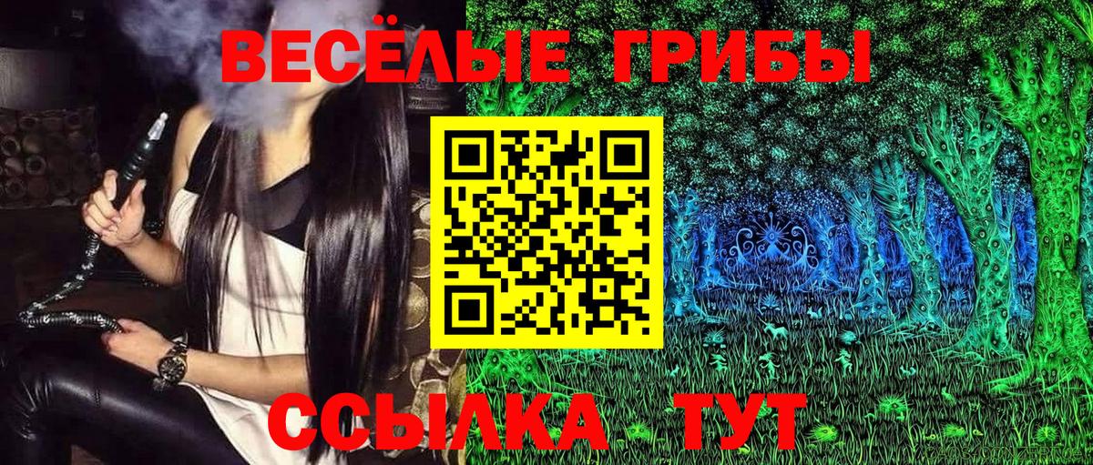 Галлюциногенные грибы Magic Shrooms Кисловодск
