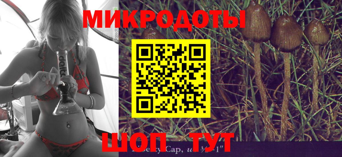 Кисловодск  где можно купить   Вход с VPN  Галлюциногенные грибы мухоморы 